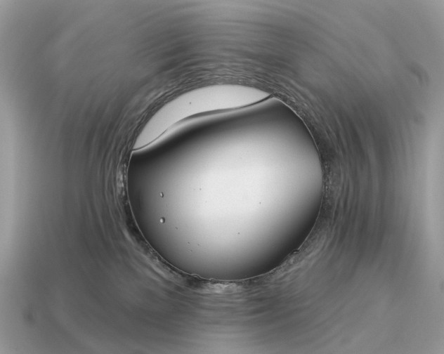 X0000115130137200911101654