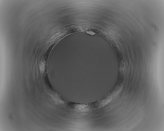 X0000115130139200911101654
