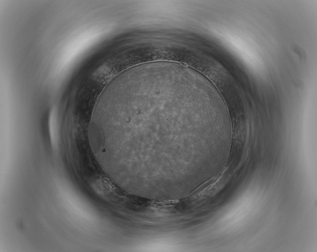 X0000115130140200911101654