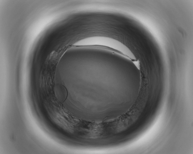 X0000115130143200911101654