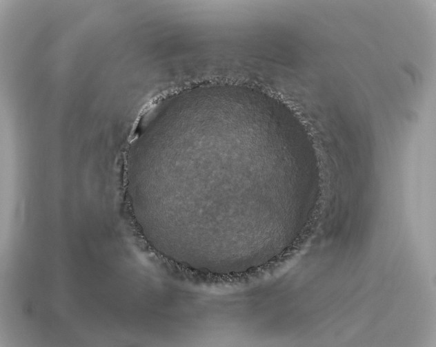 X0000115130144200911101654