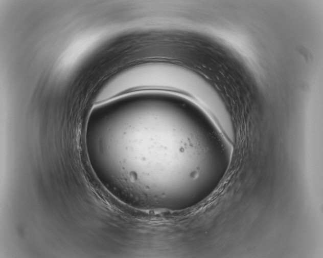 X0000115130146200911101654