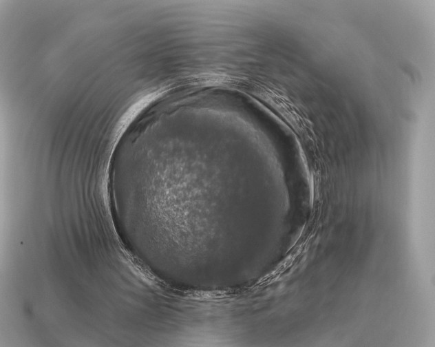 X0000115130147200911101654