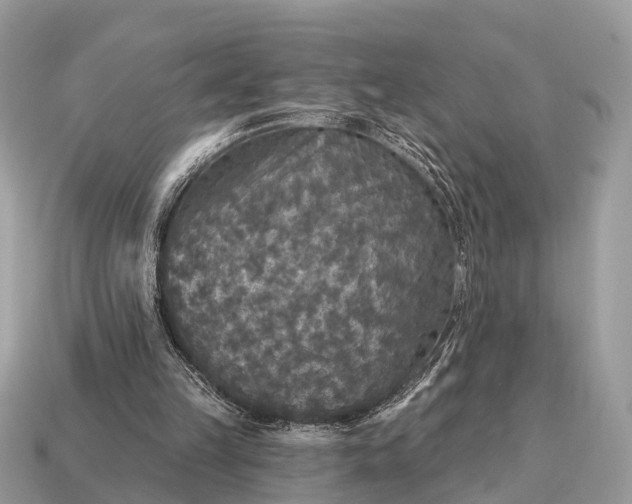 X0000115130149200911101654