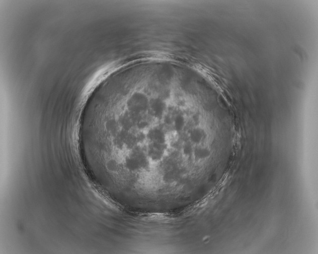 X0000115130151200911101654
