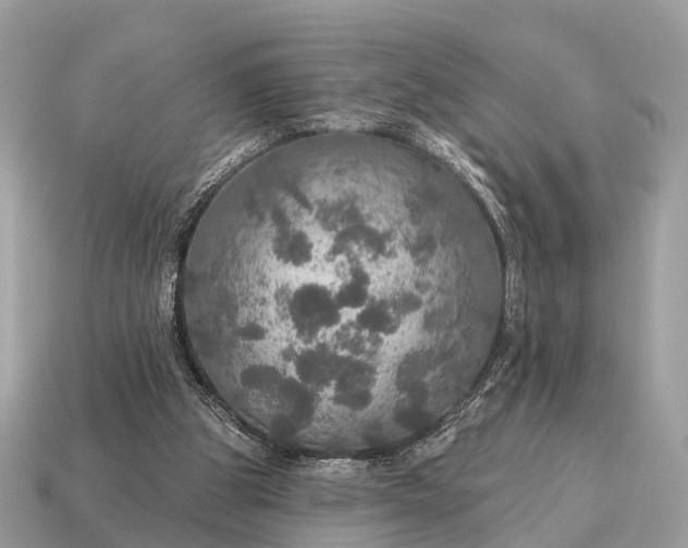 X0000115130153200911101654