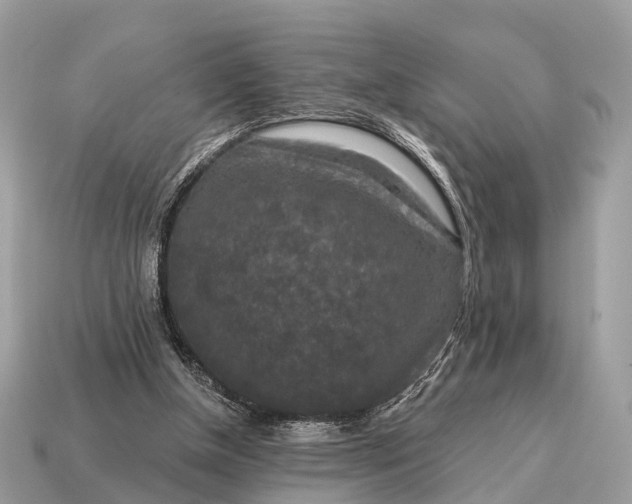 X0000115130154200911101654