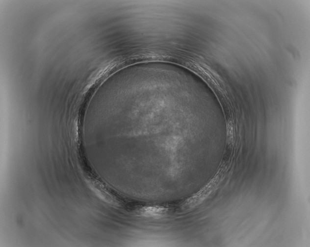 X0000115130158200911101654