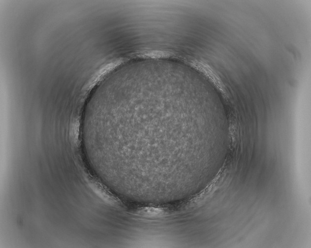 X0000115130159200911101654
