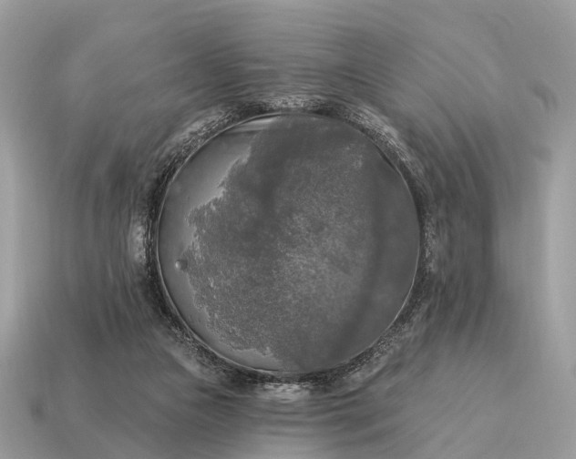 X0000115130161200911101654