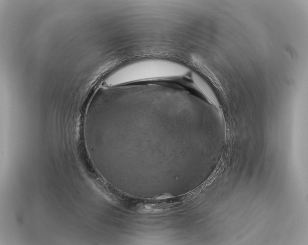 X0000115130163200911101654