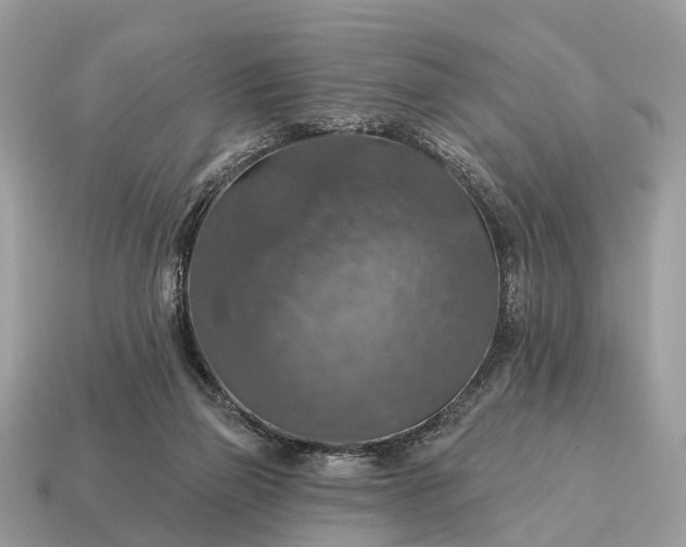 X0000115130165200911101654