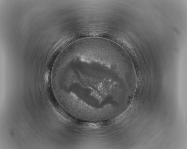 X0000115130166200911101654