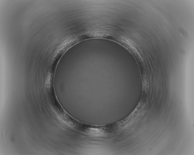 X0000115130167200911101654