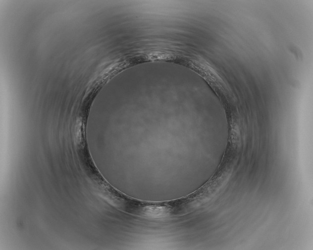 X0000115130169200911101654