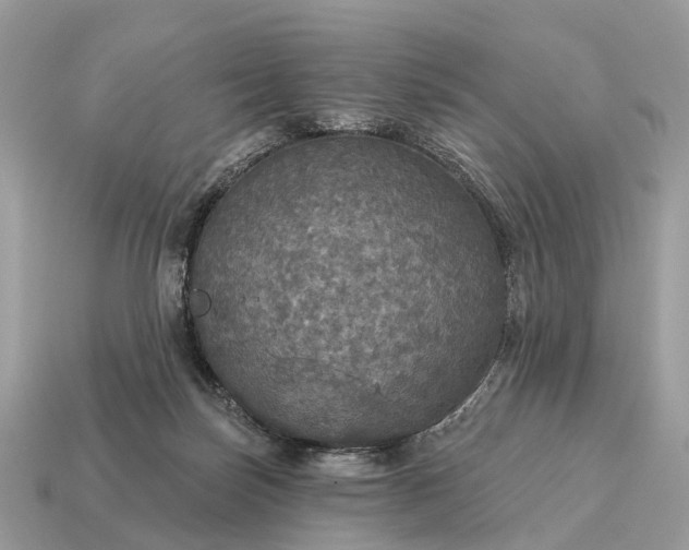 X0000115130171200911101654