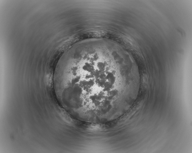 X0000115130177200911101654