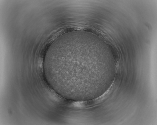 X0000115130178200911101654