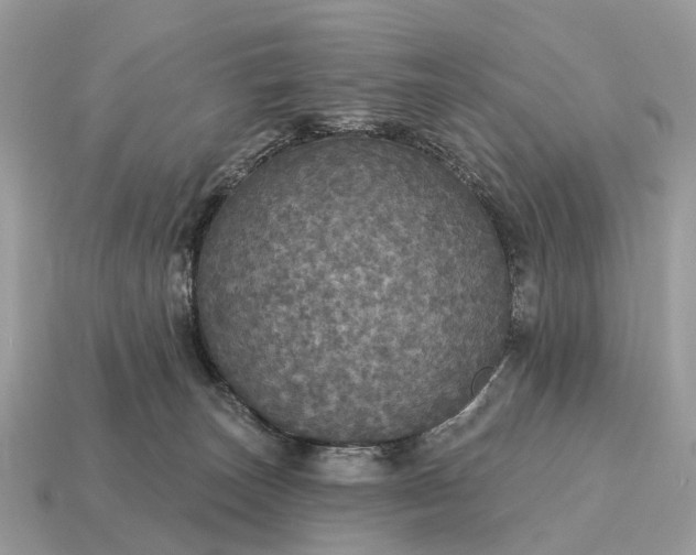 X0000115130179200911101654