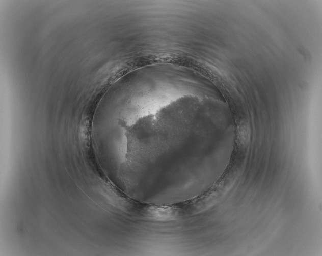 X0000115130181200911101654