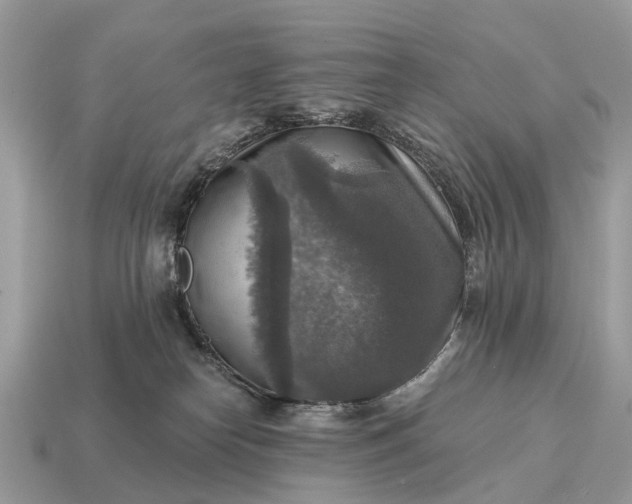 X0000115130182200911101654
