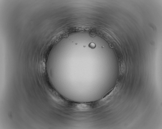 X0000115130183200911101654