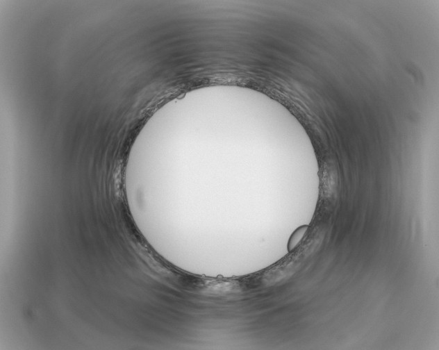 X0000115130185200911101654