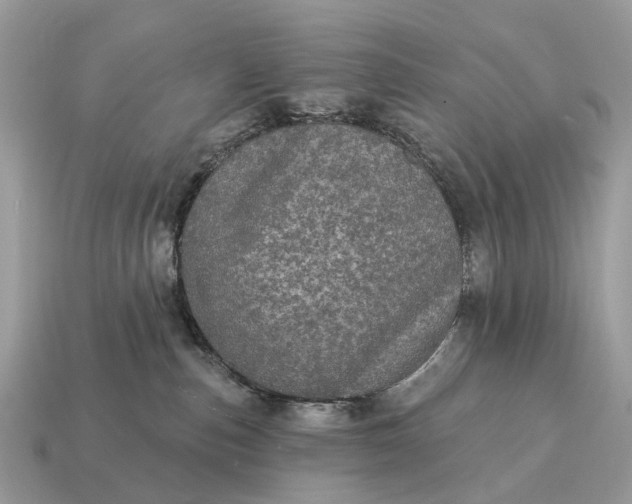 X0000115130187200911101654