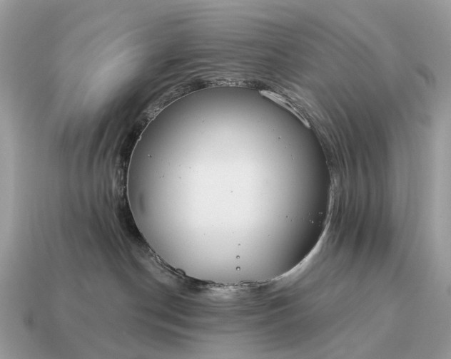 X0000115130190200911101654