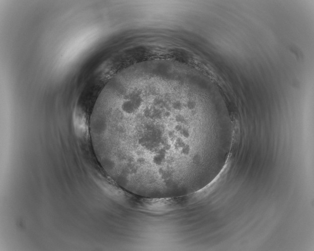 X0000115130191200911101654