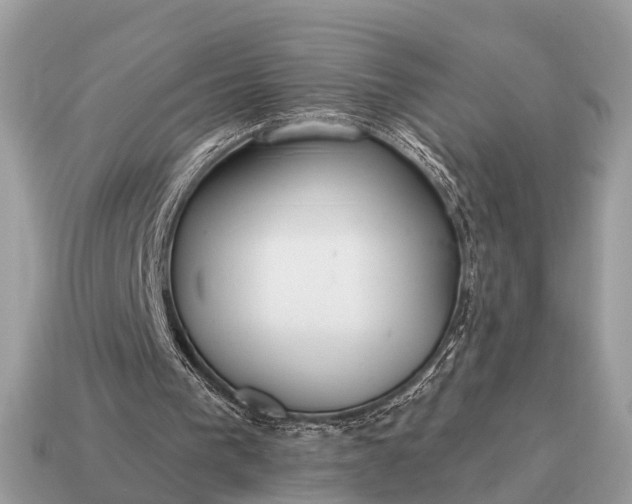X0000115130193200911101654