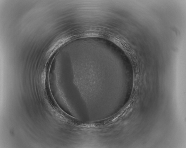 X0000115130194200911101654