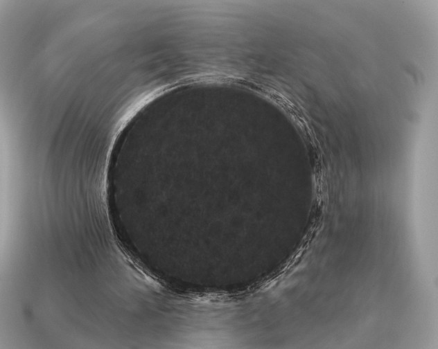 X0000115130196200911101654