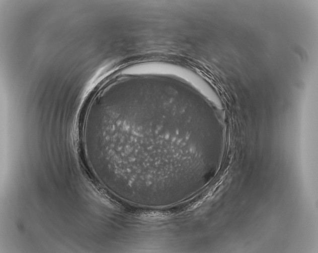 X0000115130198200911101654