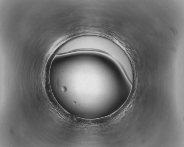 X0000115130199200911101654