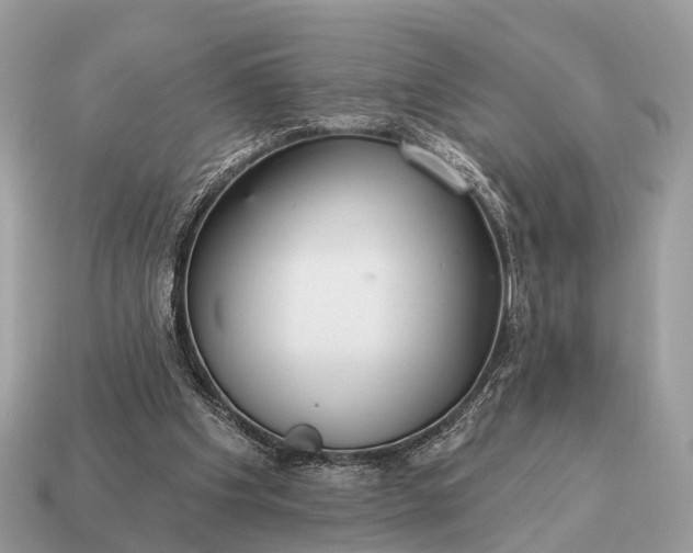 X0000115130201200911101654