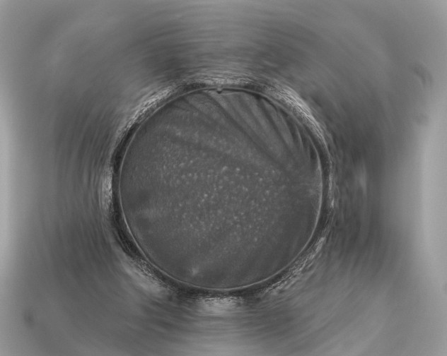 X0000115130202200911101654