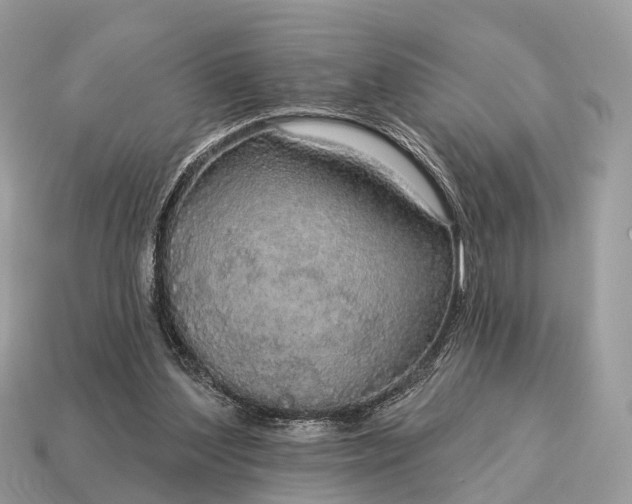 X0000115130204200911101654