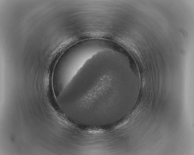 X0000115130206200911101653