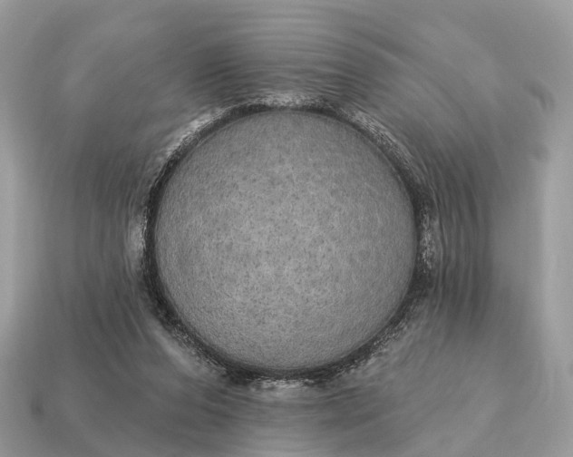 X0000115130208200911101653