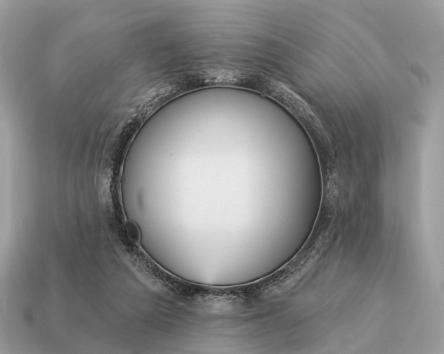 X0000115130209200911101653