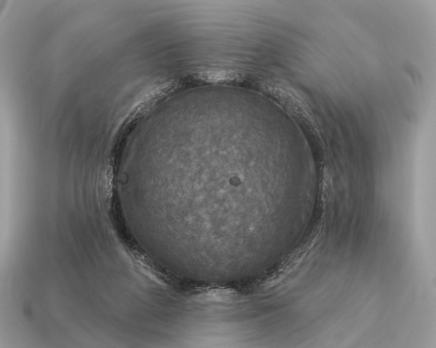 X0000115130210200911101653