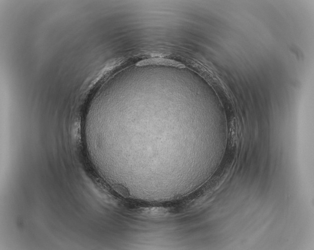 X0000115130212200911101653
