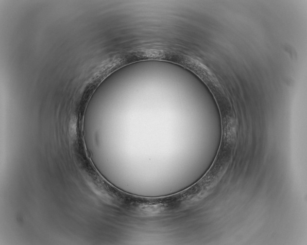 X0000115130213200911101653