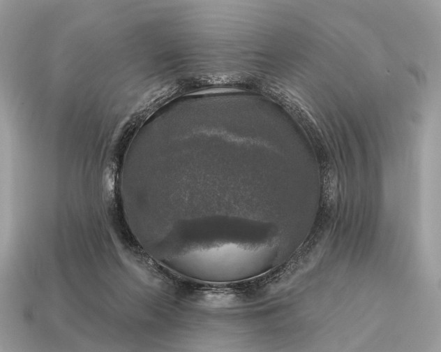 X0000115130214200911101653