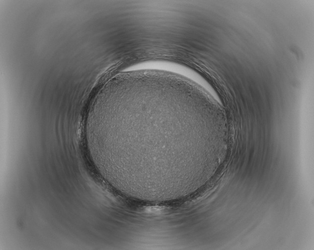 X0000115130216200911101653