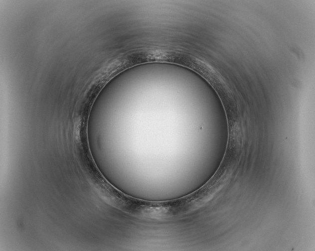 X0000115130217200911101653