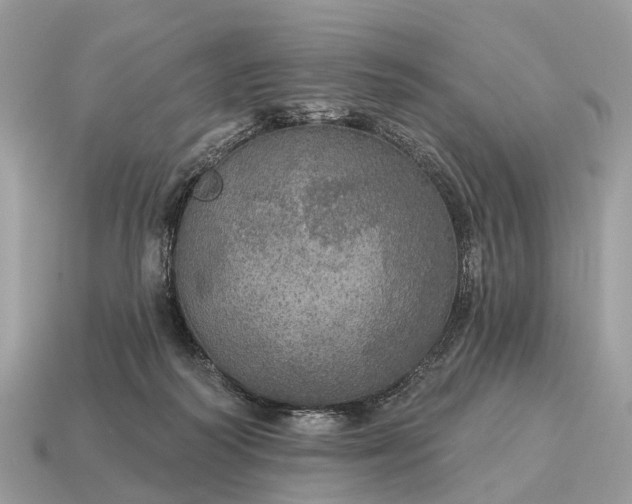 X0000115130218200911101653