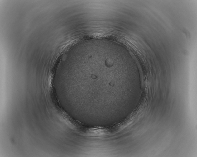 X0000115130219200911101653