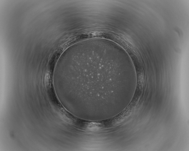 X0000115130222200911101653